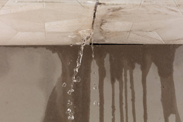 Professional Water Damage Restoration technician working in Chappell Hill, TX